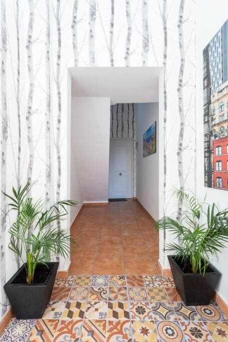 Sunnyland Teresitas 2 Apartamento San Andres  Exterior foto